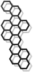 Comb-ination_B-zielony_front.jpg